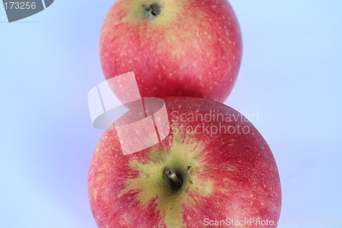 Image of Apples