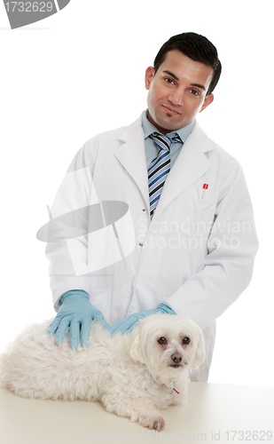 Image of Vet with sick pet