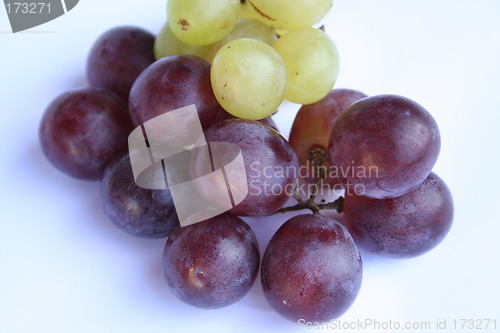 Image of Red and green grapes