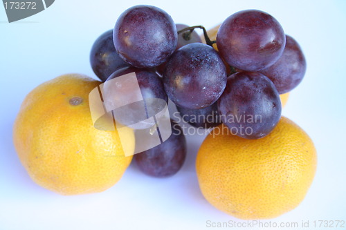 Image of Fruits in beautiful colours