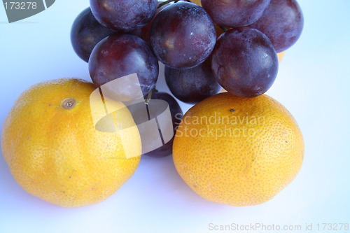 Image of Grapes and oranges