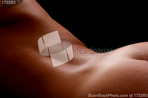 Image of Nude Back