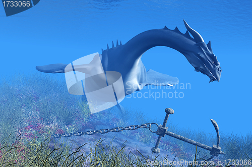 Image of Sea Dragon 01