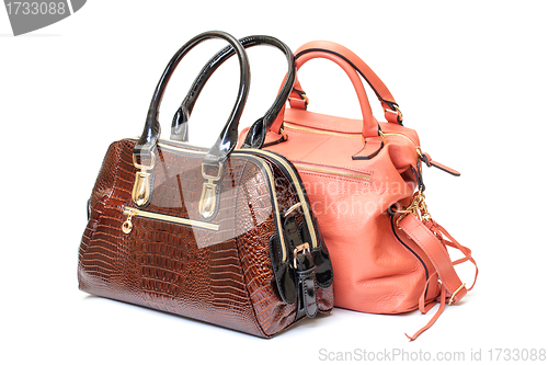 Image of Two Leather Ladies Handbag