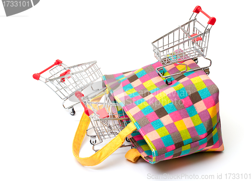 Image of Shopping Cart with Vibrant Bag