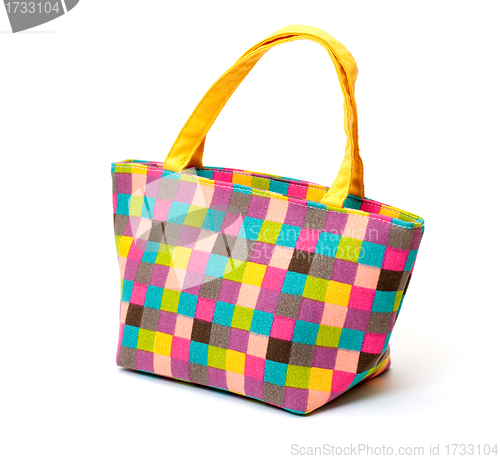 Image of Vibrant Cloth Ladies Handbag