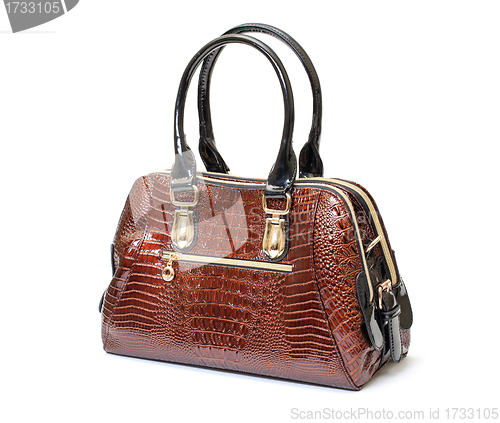 Image of Brown Leather Ladies Handbag