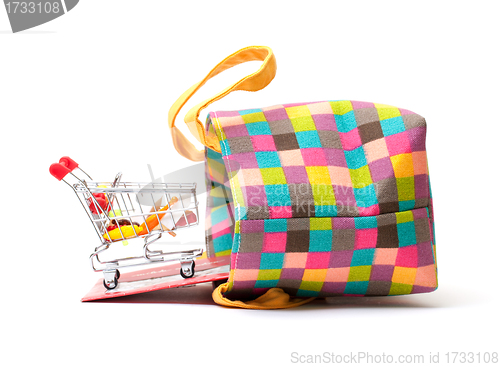 Image of Shopping Cart with Vibrant Bag