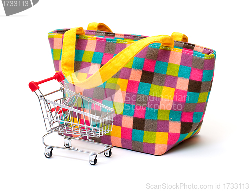 Image of Vibrant Cloth Ladies Handbag with Shopping Cart