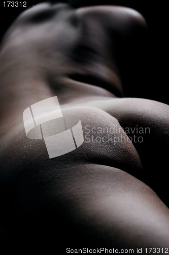 Image of Bodyscape