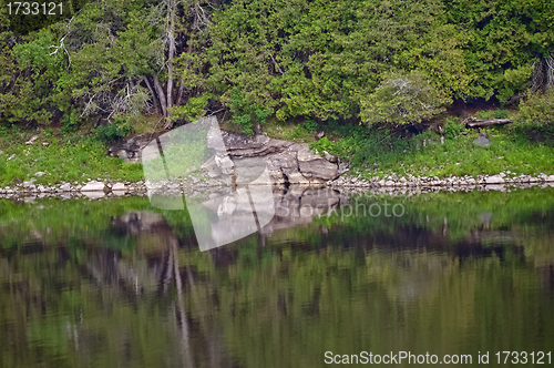 Image of French River Ontario, Canada