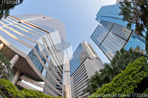 Image of Skyscrapers in Hong Kong
