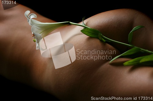 Image of Nude and Flower