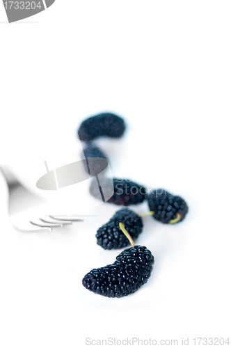 Image of fresh ripe mulberry over white