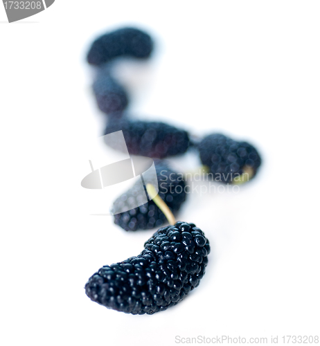 Image of fresh ripe mulberry over white