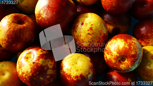 Image of Date fruits