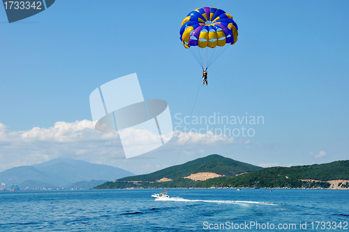 Image of Paragliding