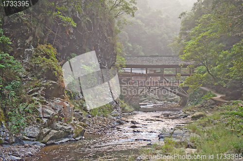 Image of Wooden Bridge in the forest Guilin mountains, China