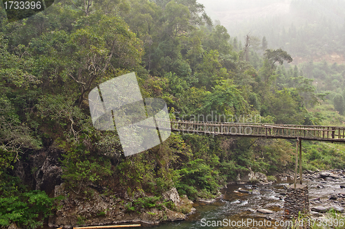 Image of Wooden Bridge in the forest Guilin mountains, China