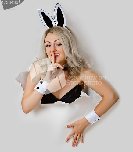 Image of Girl - sexy rabbit playful looks from a hole