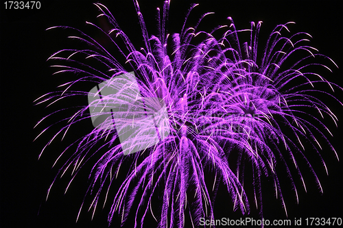 Image of fireworks