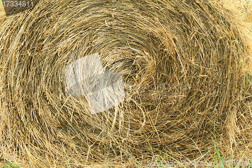 Image of hay bales in a field ( detail )