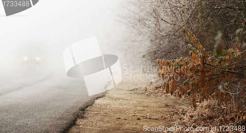 Image of Autumn road 