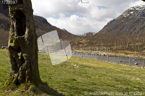 Image of old, hollow tree with grassland and mountains