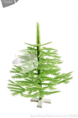 Image of Christmas tree