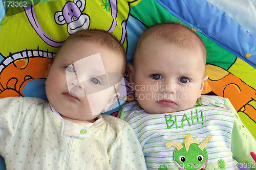 Image of Twin baby boys