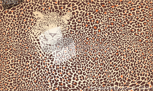 Image of Pattern background leopard 