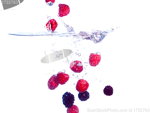 Image of Berries Falls under Water with a Splash