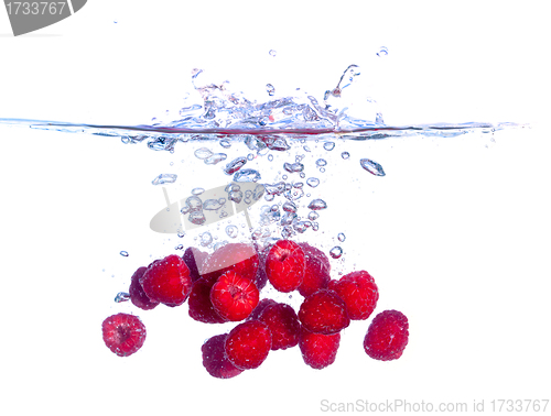 Image of Red Raspberries Falls under Water with a Splash