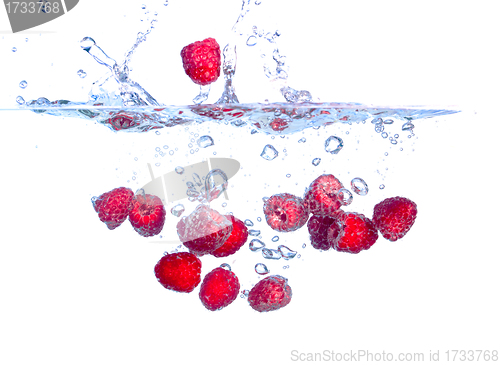 Image of Red Raspberries Falls under Water with a Splash