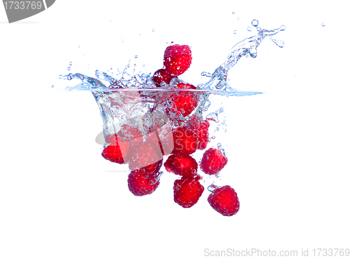 Image of Red Raspberries Falls under Water with a Splash