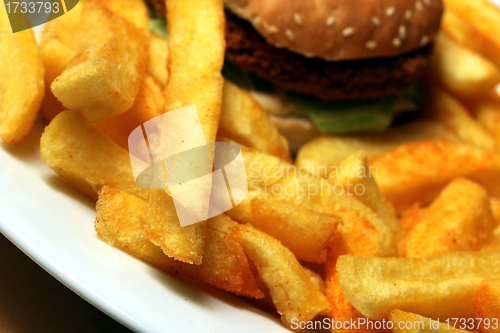 Image of chicken burger with french fries