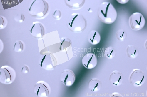 Image of water drop success symbol