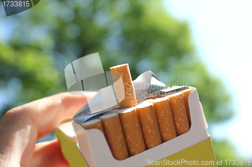 Image of cigarettes in the park