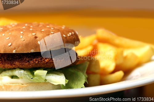 Image of chicken burger with french fries