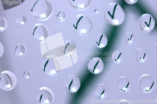 Image of water drop success symbol