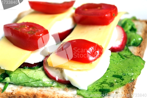 Image of homemade sandwich isolated