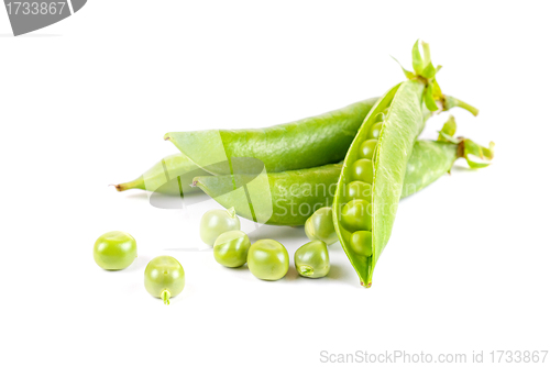 Image of Ripe pea