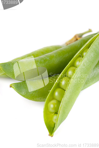 Image of Ripe pea