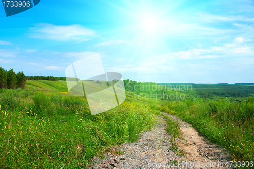 Image of Summer landscape