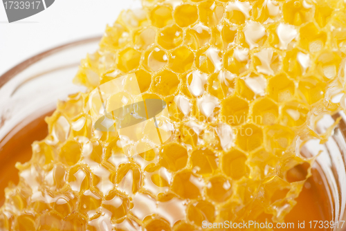 Image of jar of organic honey