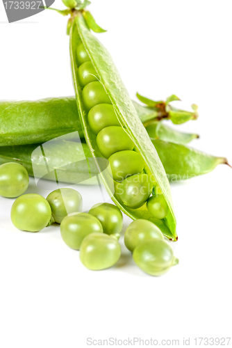 Image of Ripe pea