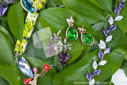 Image of Jewelry at green leaves