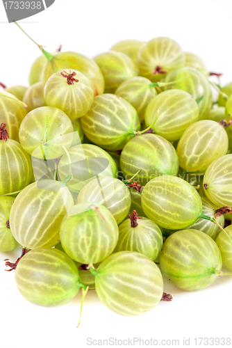 Image of gooseberries