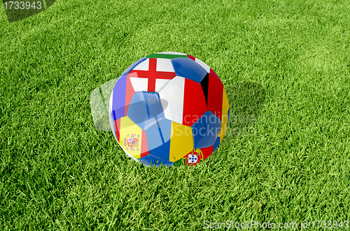 Image of green grass texture