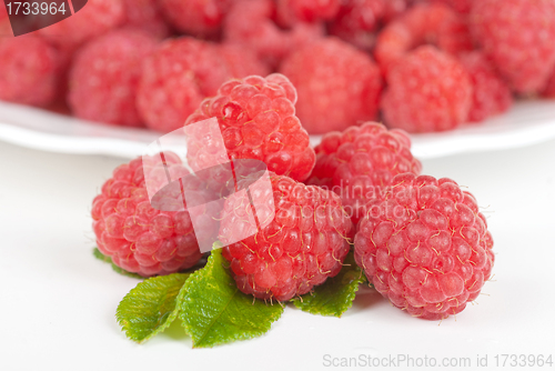 Image of fresh raspberry